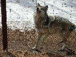 009_2009-0214-1221-39-JoeA.jpg